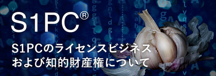 イメージ画像