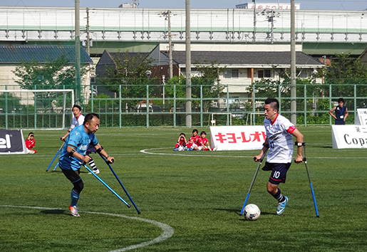 庭園内にあるグリーンベルト