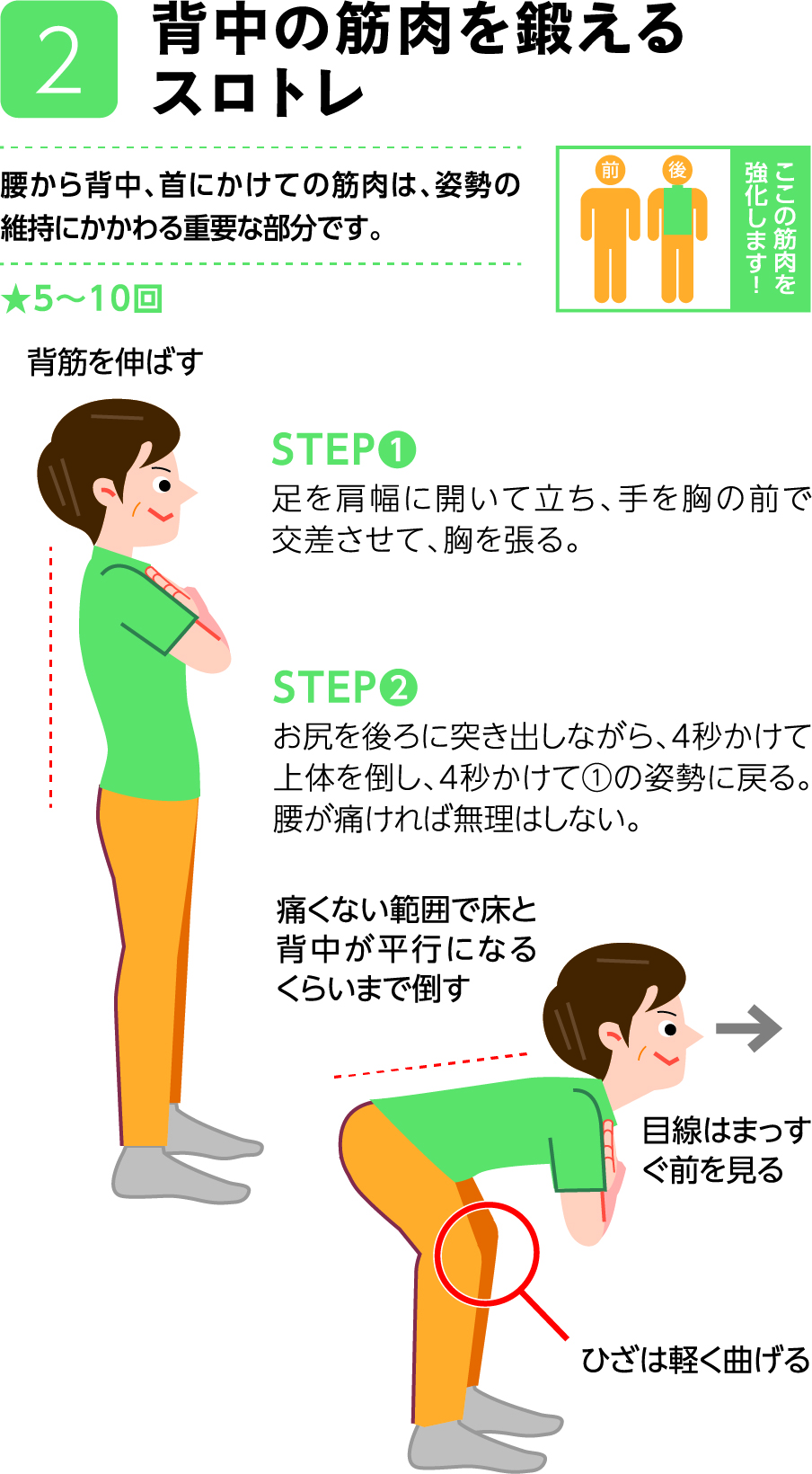 お尻と太ももの後ろ側を強化するスロトレ」「背中の筋肉を鍛えるスロトレ」 – 湧永製薬株式会社